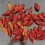 Crushed Ghost (Bhut Jolokia) Peppers Harvested on our Farm, Certified Organic