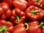 Sweet Pepper ‘Red Bell’ Seeds (Certified Organic)