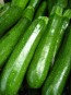 Dark Green Zucchini Summer Squash Plants (4 Pack)