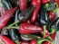 Crushed Black Hungarian Peppers Harvested on our Farm, Certified Organic