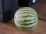 Watermelon 'Early Moonbeam'
