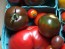 Tomato 'Tamara's Sweet Brown' Seeds (Certified Organic)