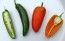 Hot Pepper ‘Fresno’ 
