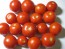 Tomato 'Tomcat F2' Seeds (Certified Organic)