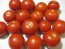 Tomato 'Tomcat F2' Seeds (Certified Organic)