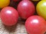 Tomato 'Garden Pearl' Seeds (Certified Organic)