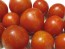Tomato 'Tigerella' Seeds (Certified Organic)