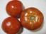 Tomato 'Red Brandywine, Potato Leaf' 