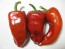 Sweet Pepper 'Patio Red Marconi'