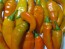 Sweet Pepper ‘Tequila Sunrise' Seeds (Certified Organic)