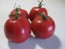 Tomato 'Bola Macizo' Seeds (Certified Organic)