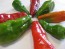 Hot Pepper ‘Pimiento de Padron’ Seeds (Certified Organic)