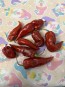 Hot Pepper 'Caramel Naganero Scorpion' Seeds (Certified Organic)