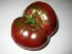 Tomato 'Carbon'