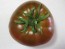 Tomato 'Cherokee Chocolate'