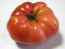 Tomato 'Monk'