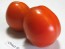 Tomato 'Chico III' Seeds (Certified Organic) 