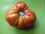 Tomato 'Mortgage Lifter' 