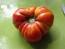 Tomato 'Mortgage Lifter' 