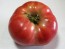 Tomato 'Tall Vine Brandywine'