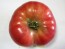 Tomato 'Tall Vine Brandywine'