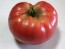 Tomato 'Tall Vine Brandywine'