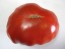 Tomato 'Red Brandywine, Regular Leaf' 