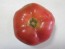 Tomato 'Bradley'