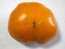 Tomato 'Golden Sunray' 