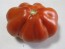 Tomato 'Belmonte'