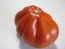 Tomato 'Belmonte'