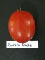 Tomato 'Ropreco Paste' Seeds (Certified Organic)
