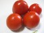 Tomato 'Bellestar'