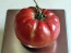 Tomato 'Olive Hill'