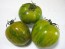 Tomato 'Green Zebra'