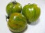 Tomato 'Green Zebra'