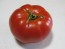 Tomato 'Adventure' Seeds (Certified Organic)