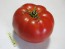 Tomato 'Adventure' Seeds (Certified Organic)
