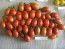 Tomato 'Jelly Bean' Seeds (Certified Organic)