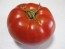 Tomato 'Adventure' Seeds (Certified Organic)