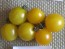 Tomato 'Small Gold Cherry'