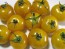 Tomato 'Ester Hess Yellow Cherry'