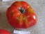 Tomato 'Super Beefsteak'