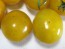 Tomato 'Ester Hess Yellow Cherry'