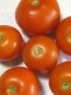 Tomato 'Jaune Flamme'