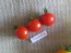 Tomato 'Sweetie'