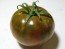 Tomato 'Cherokee Chocolate'