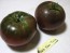 Tomato 'Black From Tula' Seeds (Certified Organic)