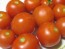 Tomato 'High Carotene'