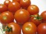 Tomato 'High Carotene'